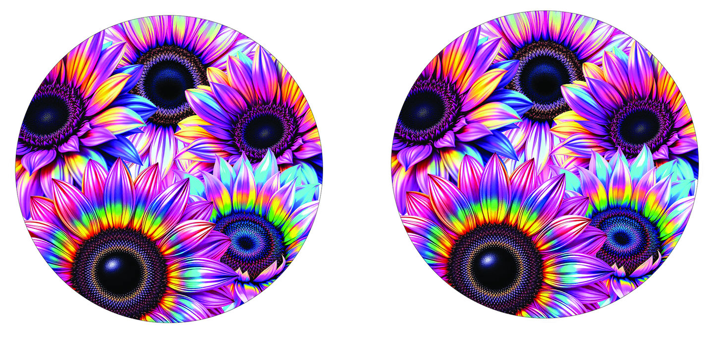Bright and beautiful sunflowers