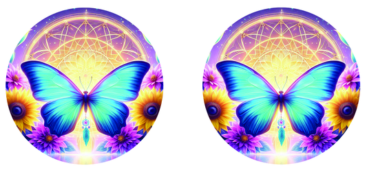 Beautiful Butterfly