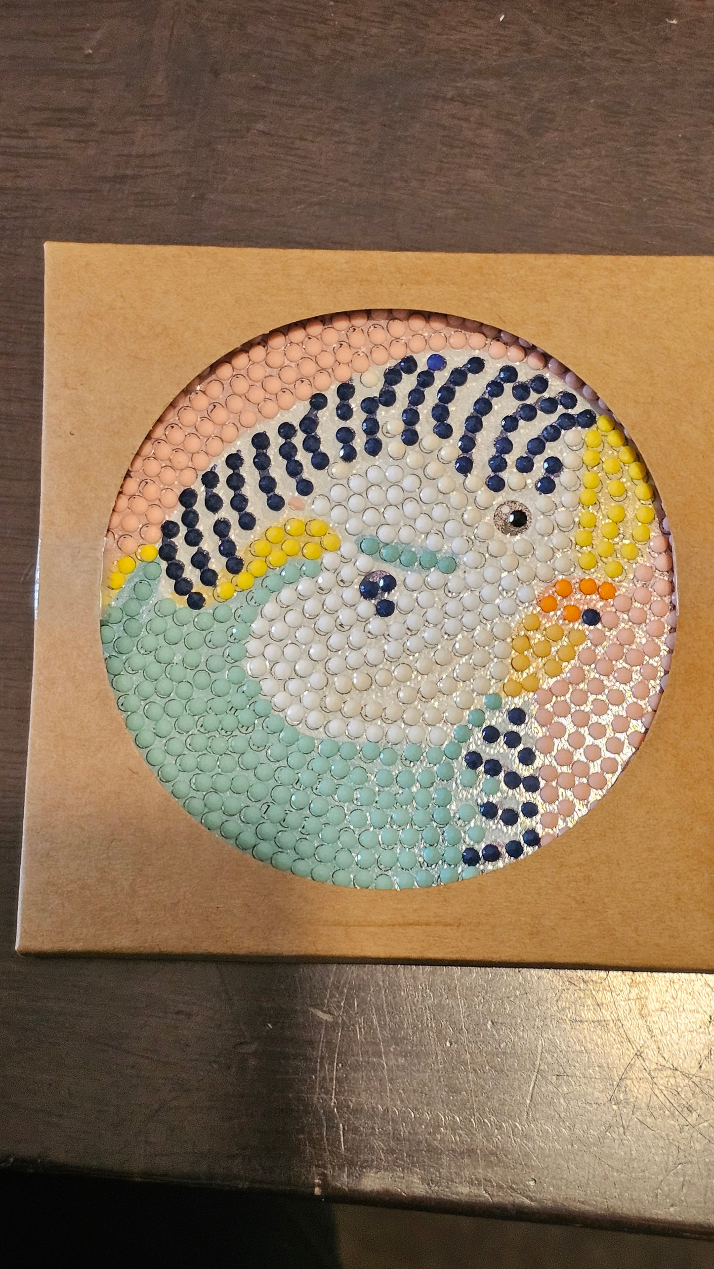 Budgie and Lorikeet coasters