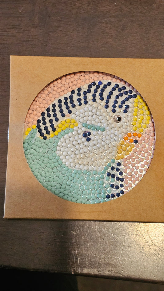 Budgie and Lorikeet coasters